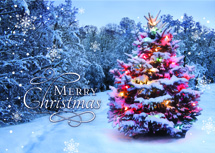 Beacon of Joy Christmas Cards